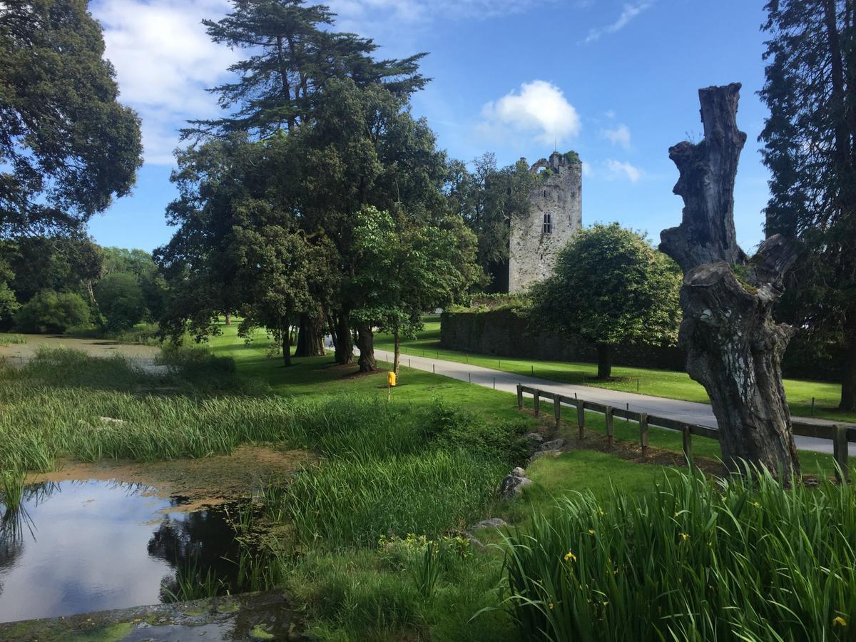 Castlemartyr Holiday Mews 3 Bed By Trident Holiday Homes 외부 사진